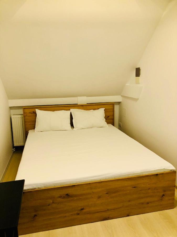 Ultra-Central Modern And Big Apartments In Union Square U41-U44 Timişoara Exterior foto